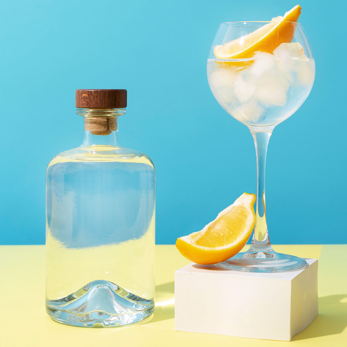 What Is The Best Glass To Drink Gin Out Of?